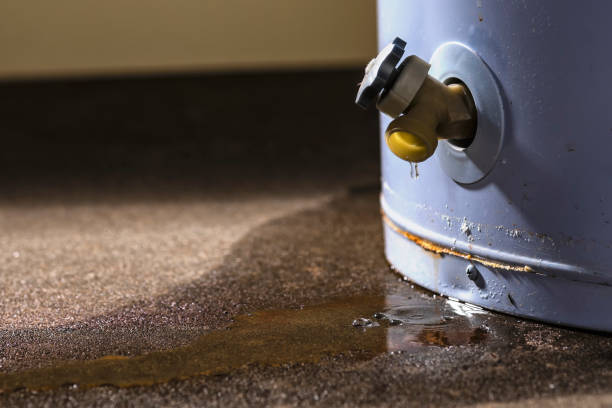 Best Local water damage restoration  in Pine Hills, CA