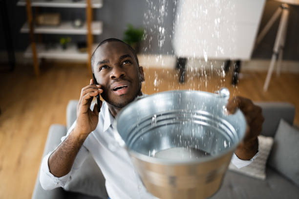 Best Water damage restoration specialists  in Pine Hills, CA