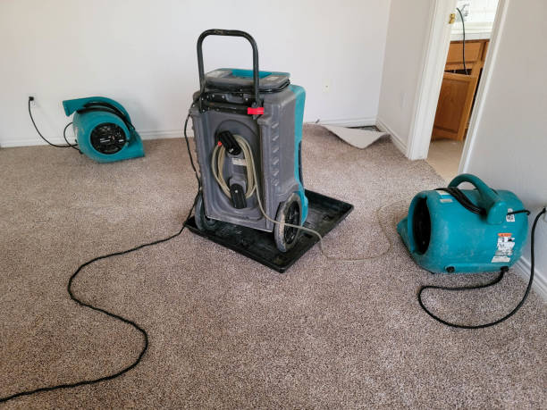 Best Mold removal after water damage  in Pine Hills, CA