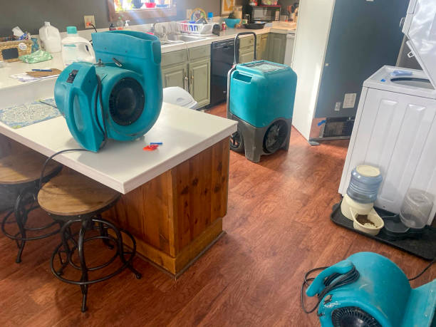 Best Flood damage cleanup  in Pine Hills, CA