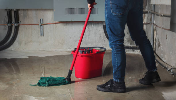 Best Fire Damage Restoration  in Pine Hills, CA