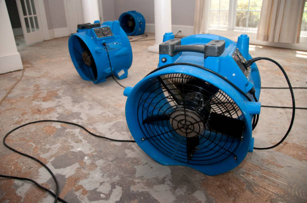 Best Residential water damage restoration  in Pine Hills, CA