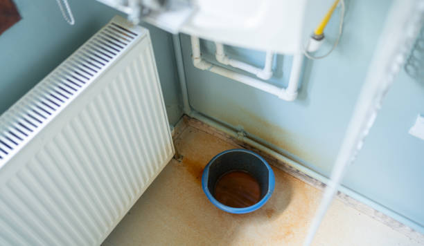 Best Fire Damage Restoration  in Pine Hills, CA