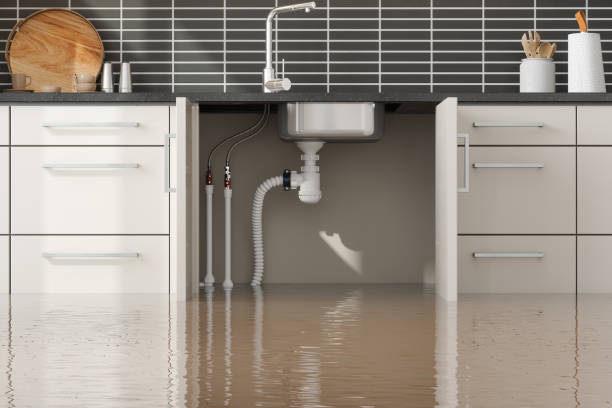 Best Flood restoration services  in Pine Hills, CA
