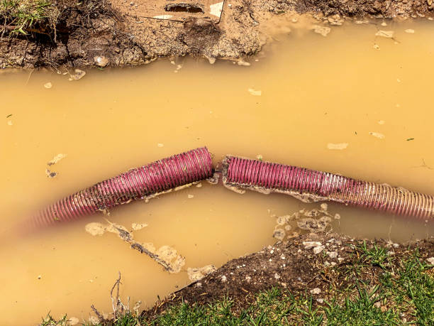 Best Water damage restoration experts  in Pine Hills, CA