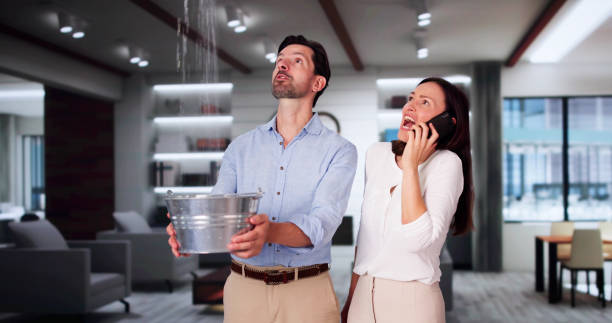  Pine Hills, CA Water damage restoration Pros