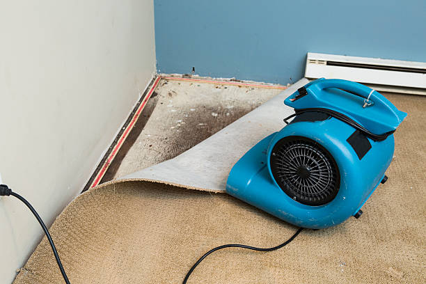 Best Professional water damage repair  in Pine Hills, CA